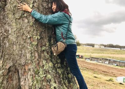 大好きな赤松の木